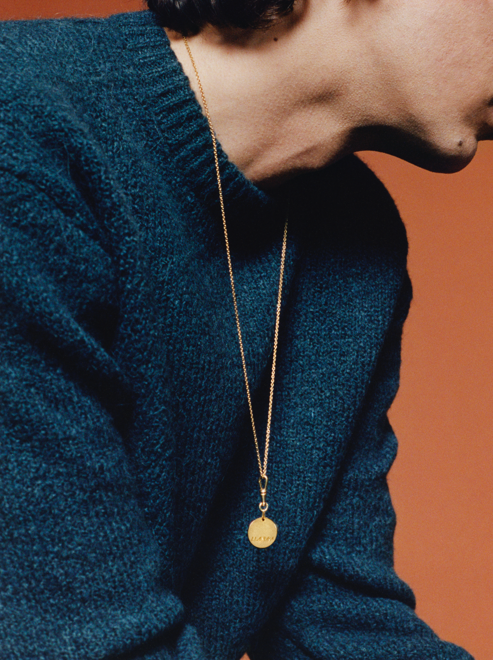 Leo medal clasp