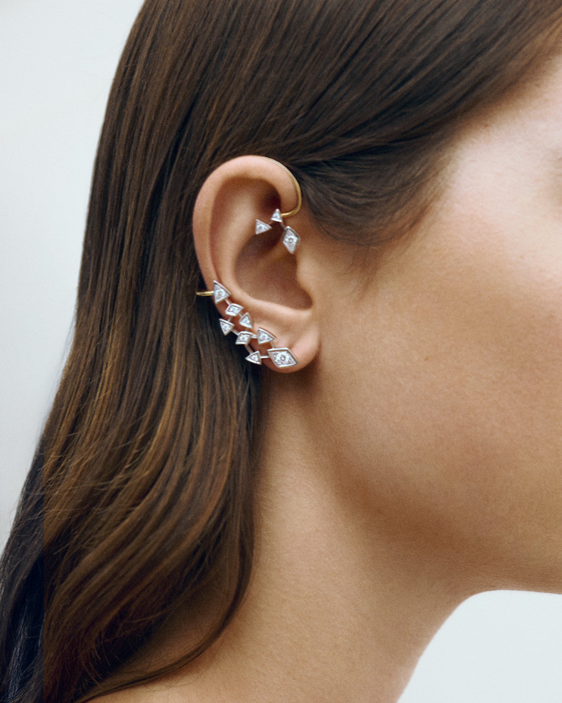Wing earring
