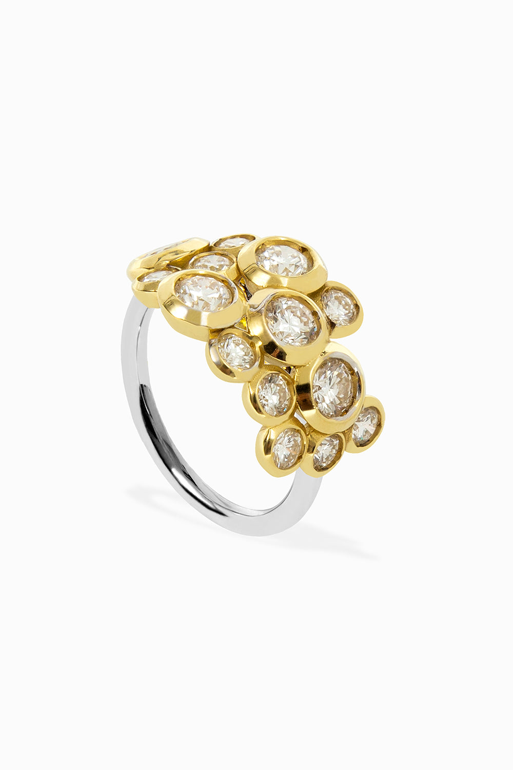 Anillo Bies