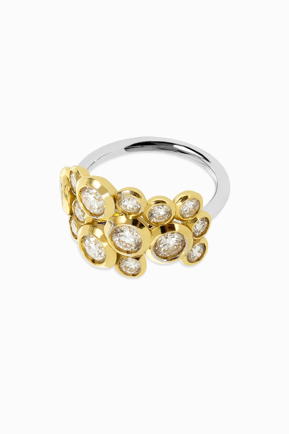 Anillo Bies