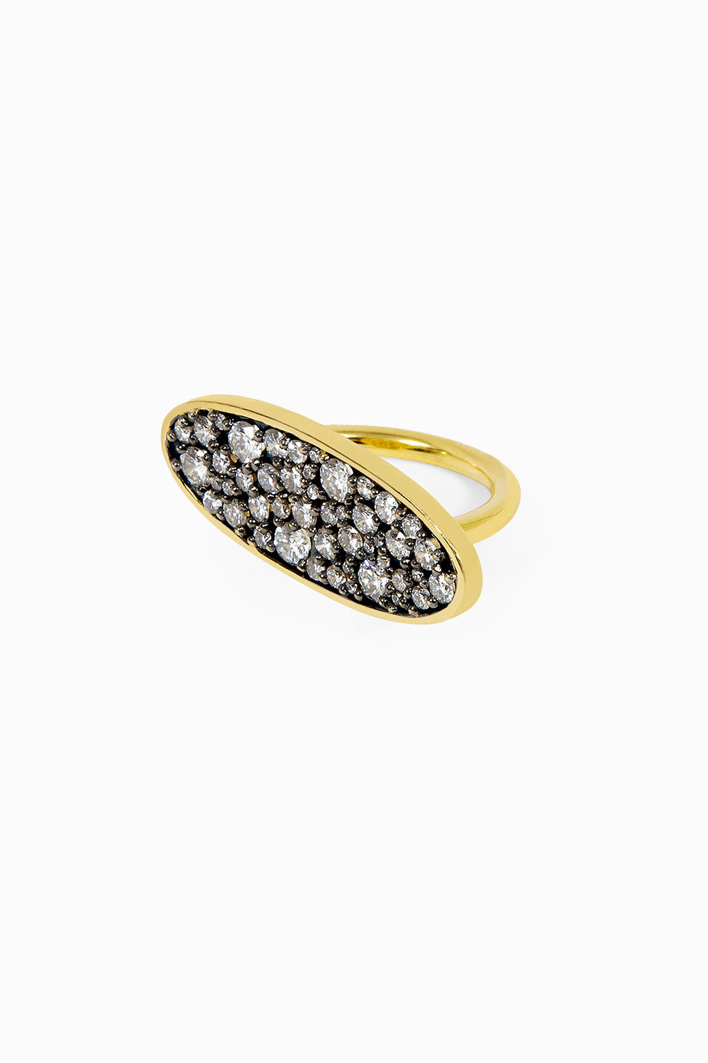 Yellow gold and black rhodium ring