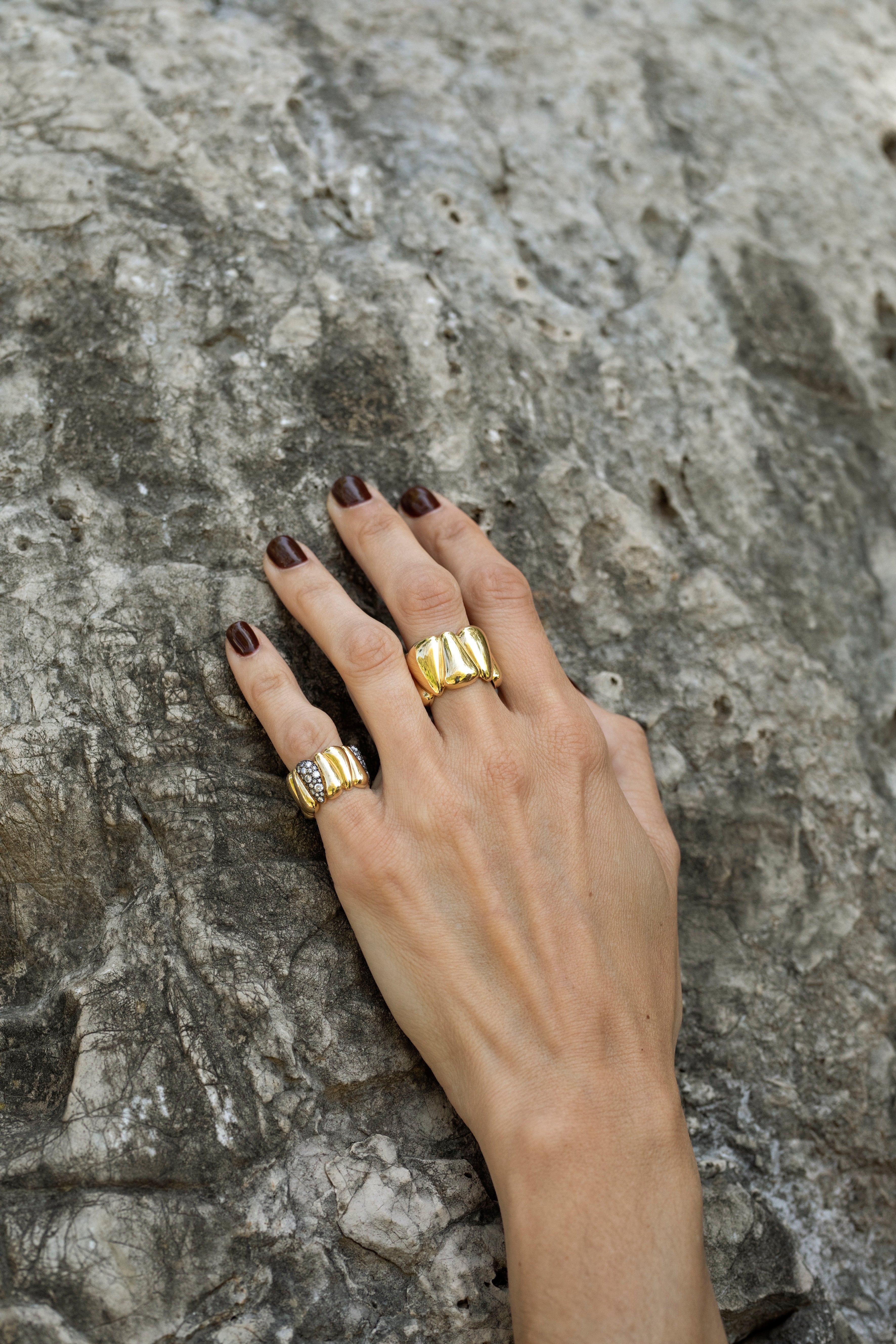 Anillo Seeds L