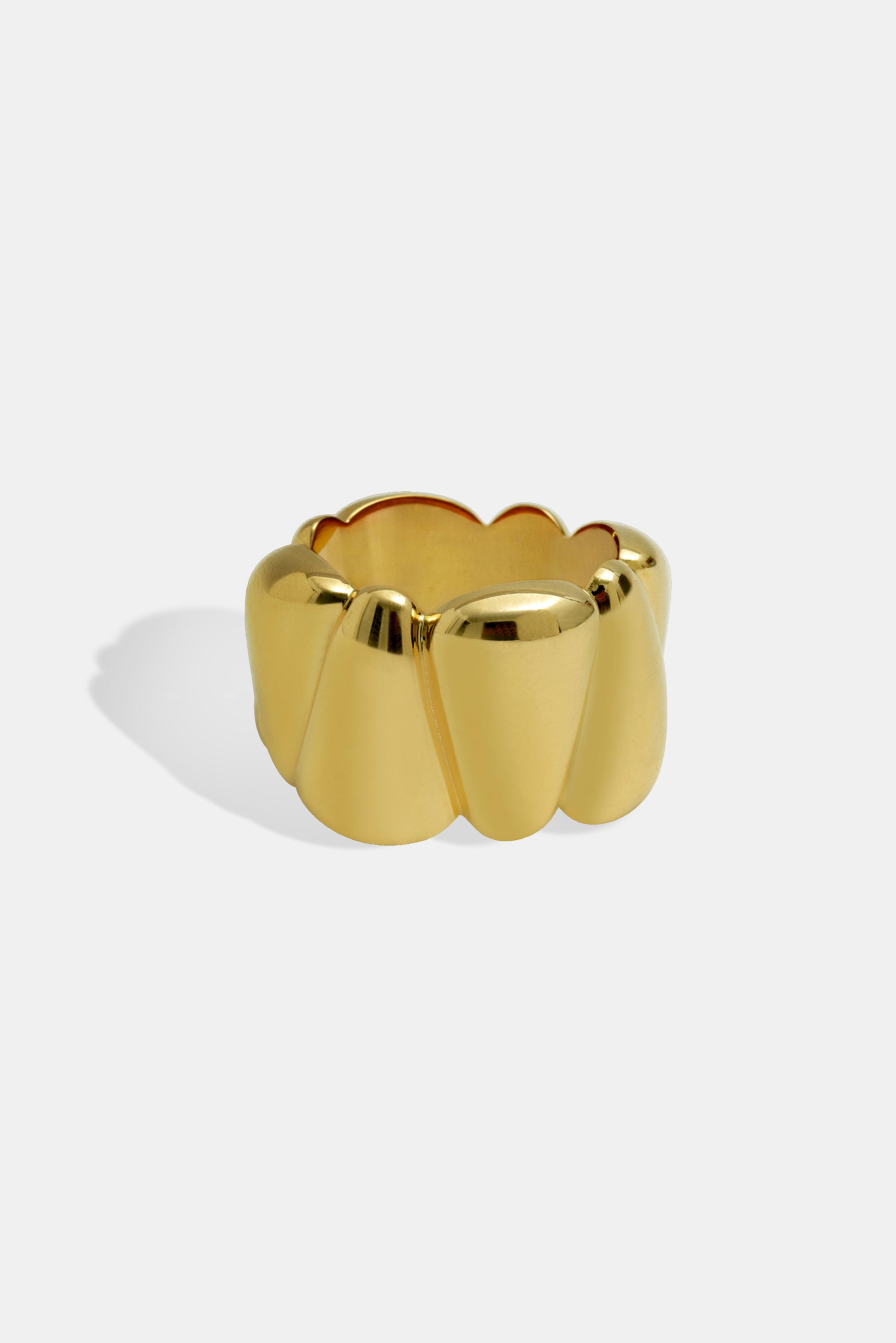 Anillo Seeds L