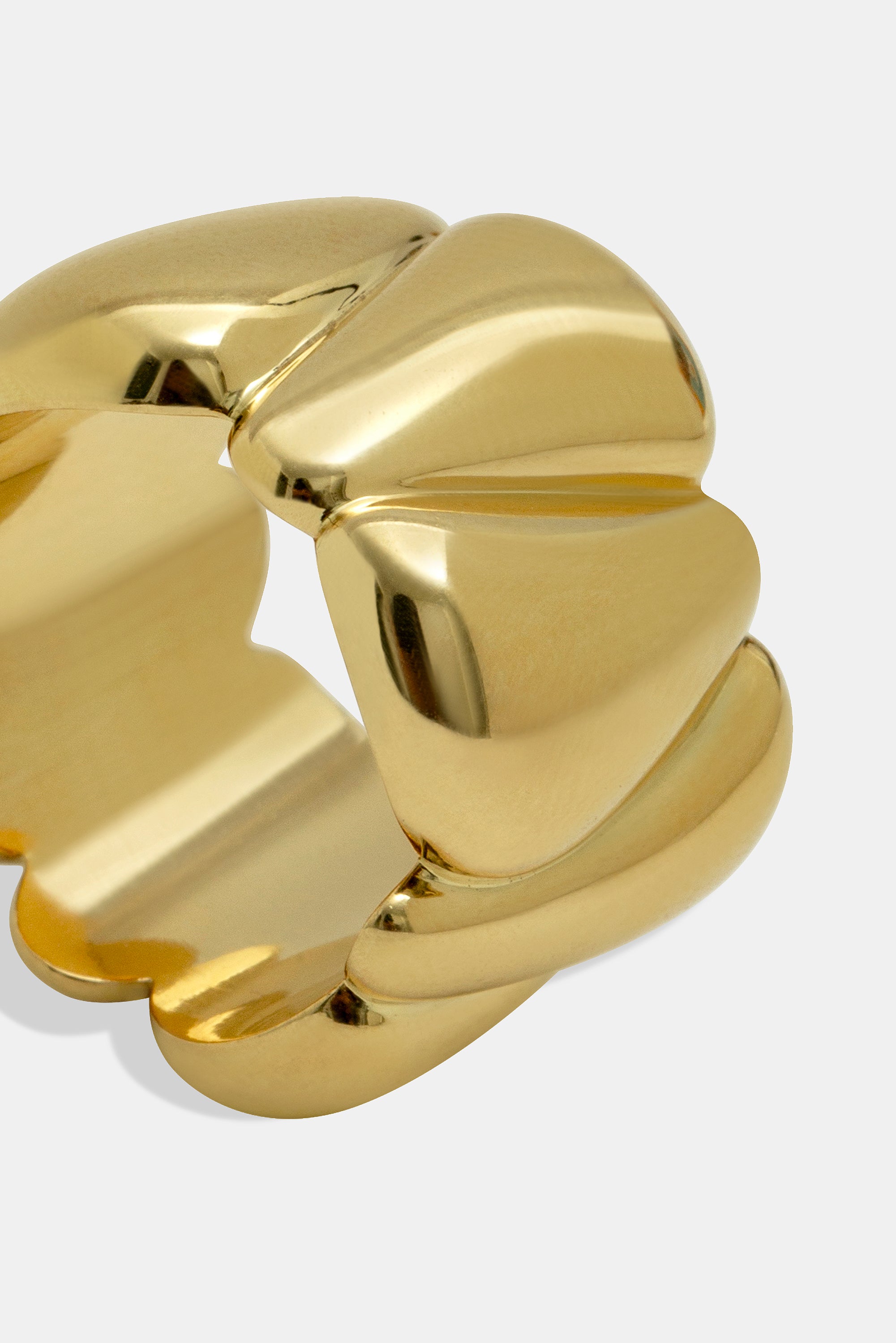 Anillo Seeds L